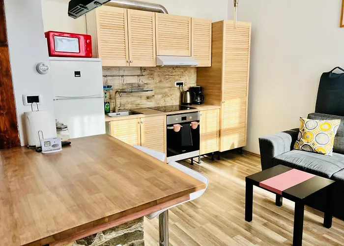 Apartment Elizabeth Brasov